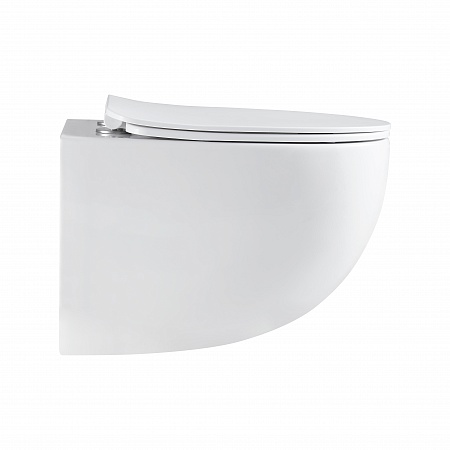 Подвесной унитаз безободковый Terminus Енисей Monolit 560х390 белый Выборг - фото 4 Подвесной унитаз безободковый Terminus Енисей Monolit 560х390 белый Выборг - фото 4