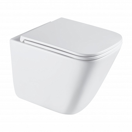 Подвесной унитаз безободковый Terminus Ватикан Monolit 490х340 белый Выборг - фото 2 Подвесной унитаз безободковый Terminus Ватикан Monolit 490х340 белый Выборг - фото 2