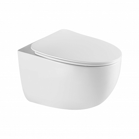 Подвесной унитаз безободковый Terminus Енисей Monolit 560х390 белый Выборг - фото 2 Подвесной унитаз безободковый Terminus Енисей Monolit 560х390 белый Выборг - фото 2